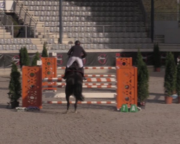 Reitturnier Aachen 2023