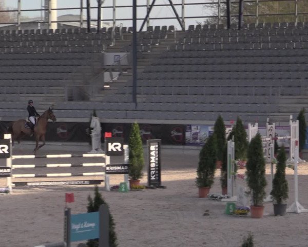 Reitturnier Aachen 2023