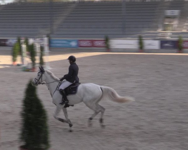 Reitturnier Aachen 2023