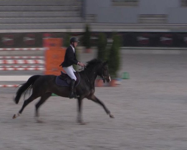 Reitturnier Aachen 2023