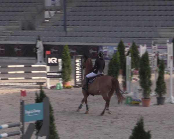 Reitturnier Aachen 2023
