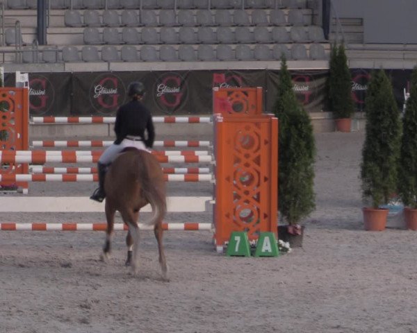Reitturnier Aachen 2023