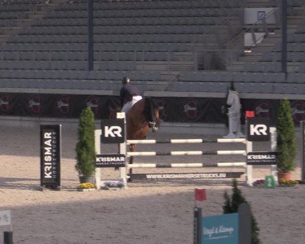 Reitturnier Aachen 2023