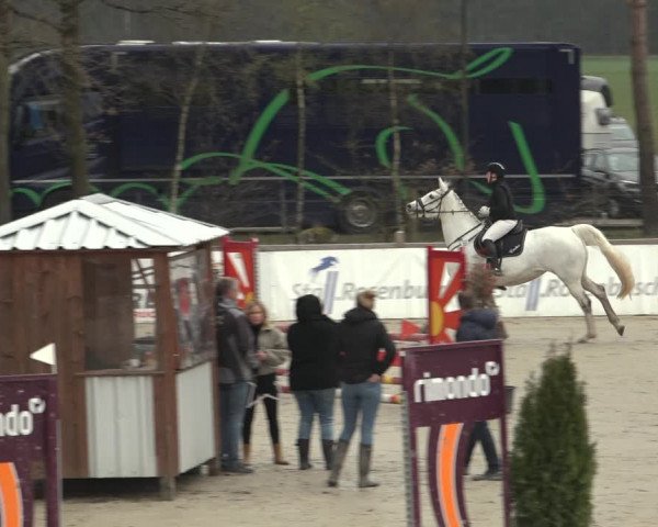 Reitturnier Westergellersen 2023