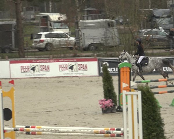 Reitturnier Westergellersen 2023
