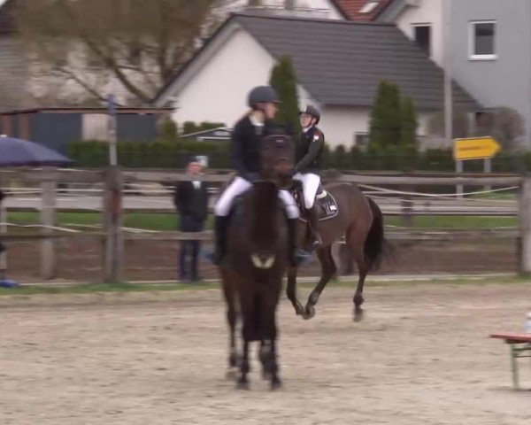 Reitturnier Poxdorf/Ofr 2023