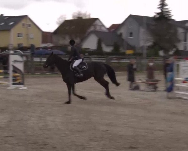 Reitturnier Poxdorf/Ofr 2023