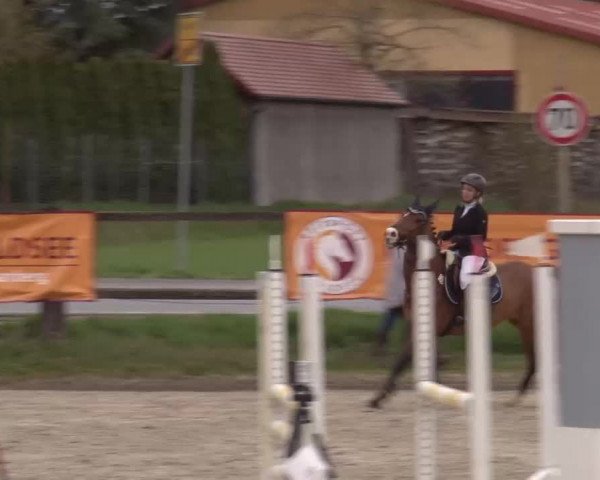 Reitturnier Poxdorf/Ofr 2023