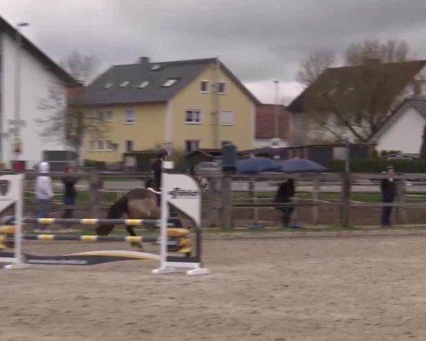 Reitturnier Poxdorf/Ofr 2023