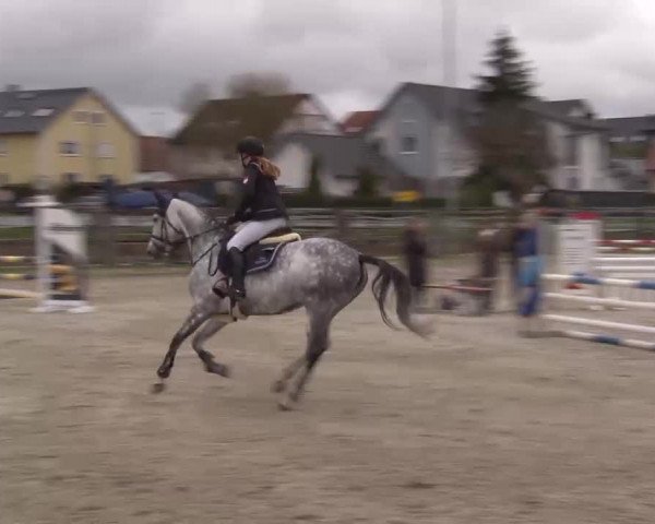 Reitturnier Poxdorf/Ofr 2023