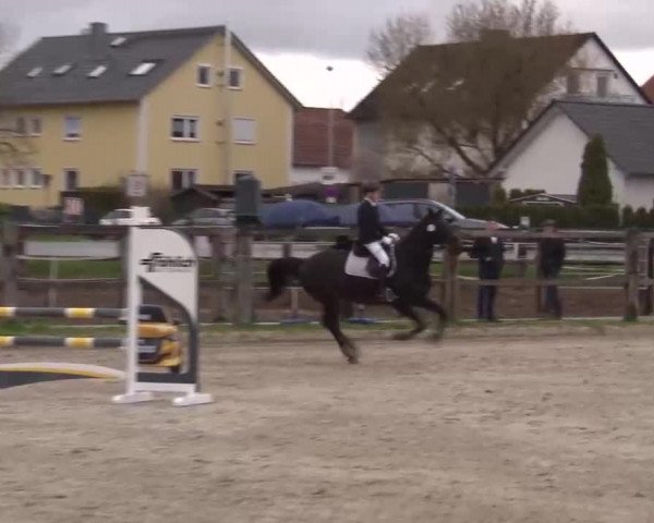 Reitturnier Poxdorf/Ofr 2023