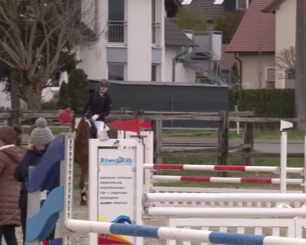 Reitturnier Poxdorf/Ofr 2023