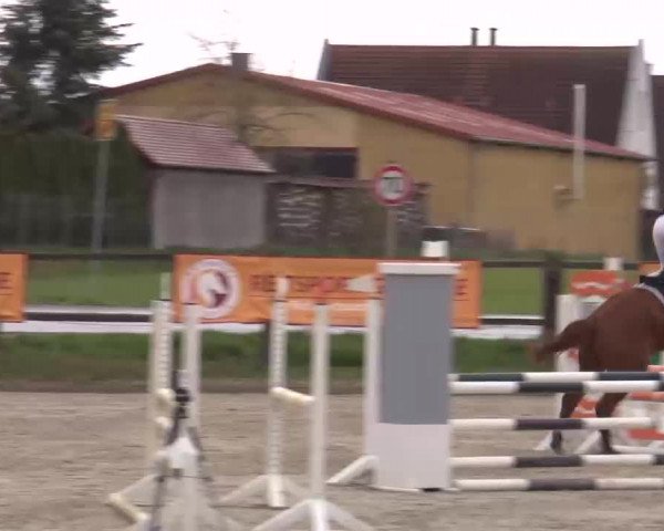 Reitturnier Poxdorf/Ofr 2023