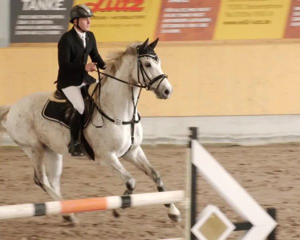 Reitturnier Herrenberg 2023