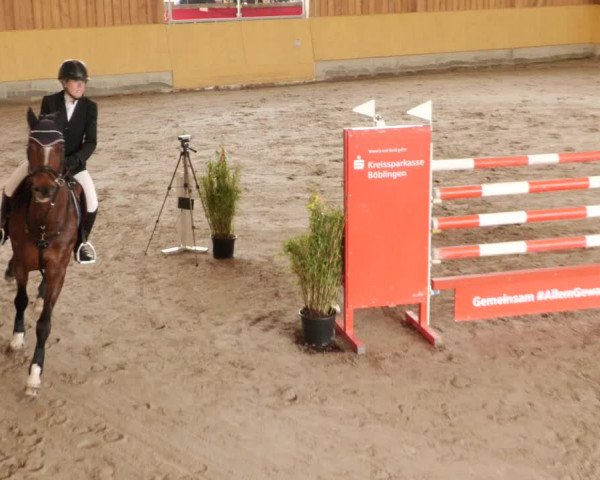 Reitturnier Herrenberg 2023