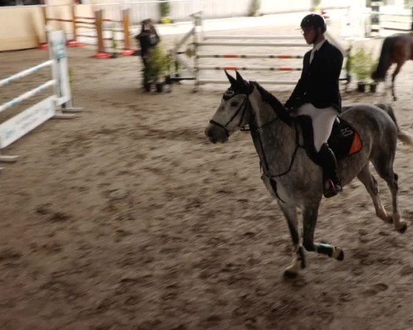 Reitturnier Herrenberg 2023