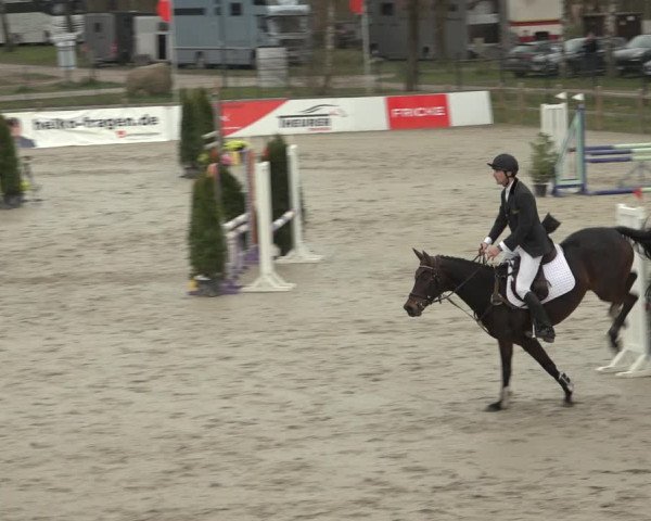 Reitturnier Westergellersen 2023