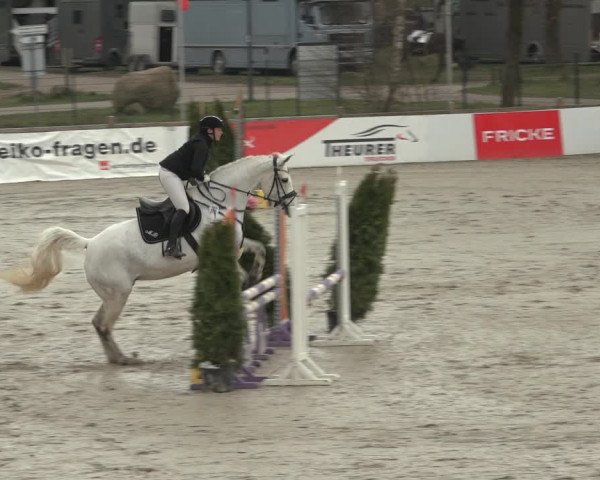 Reitturnier Westergellersen 2023