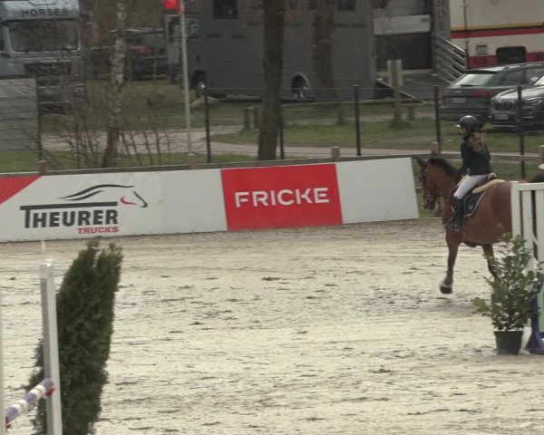 Reitturnier Westergellersen 2023
