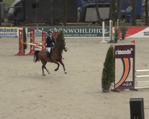 Reitturnier Westergellersen 2023