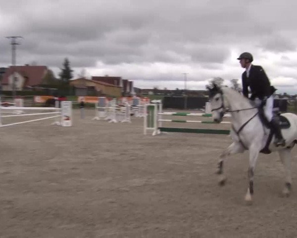 Reitturnier Poxdorf/Ofr 2023