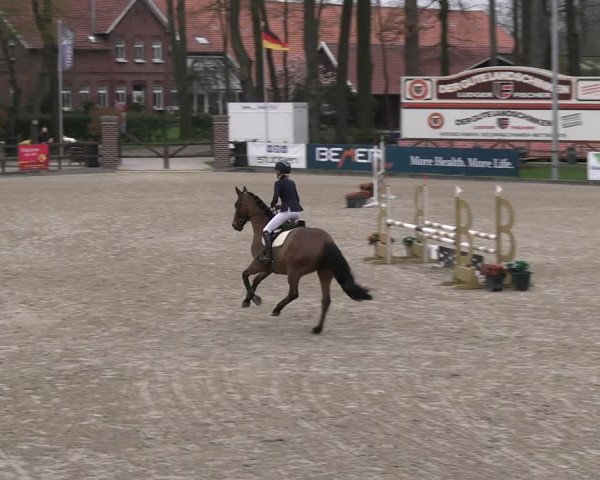 Reitturnier Klein Roscharden 2023