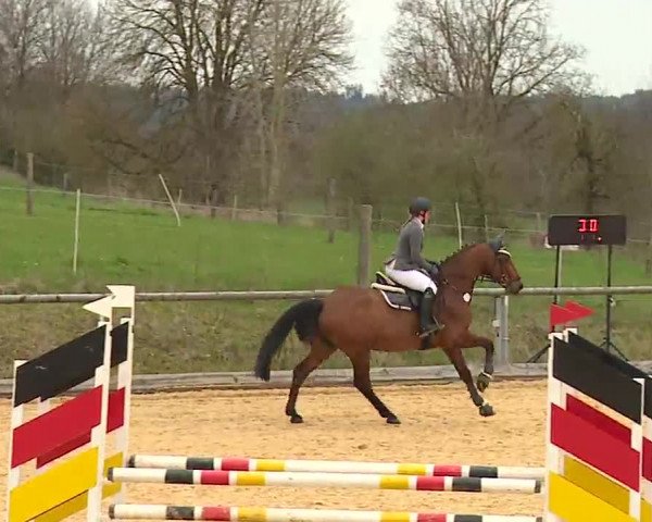Reitturnier Altentrüdingen/Mfr. 2023