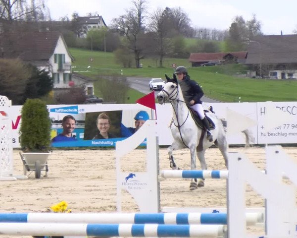Reitturnier Wädenswil 2023