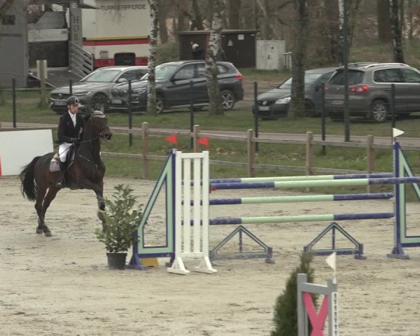 Reitturnier Westergellersen 2023