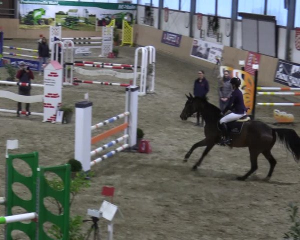 Reitturnier Borgholzhausen-Westbarthausen 2021