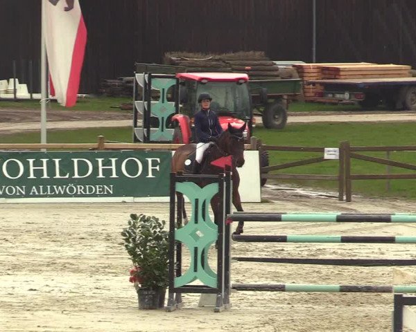 Reitturnier Westergellersen 2023