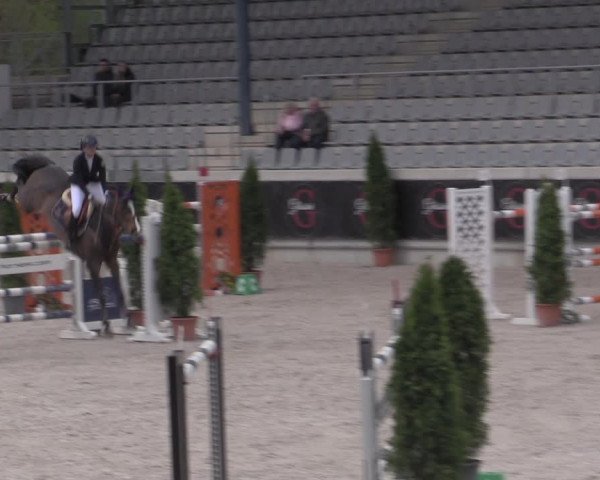 Reitturnier Aachen 2023
