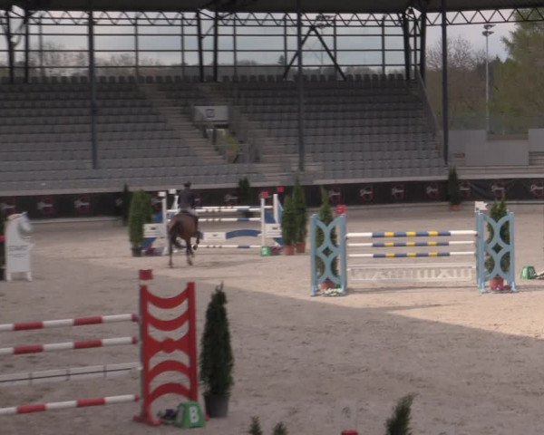 Reitturnier Aachen 2023