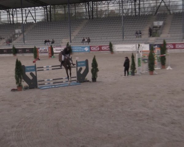 Reitturnier Aachen 2023