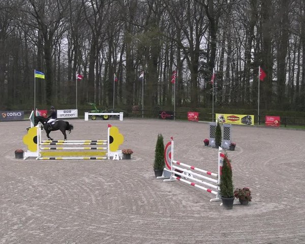 Reitturnier Klein Roscharden 2023