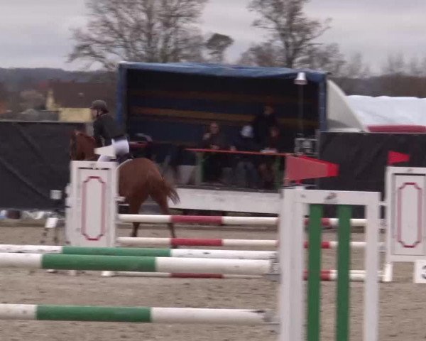 Reitturnier Poxdorf/Ofr 2023