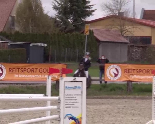 Reitturnier Poxdorf/Ofr 2023