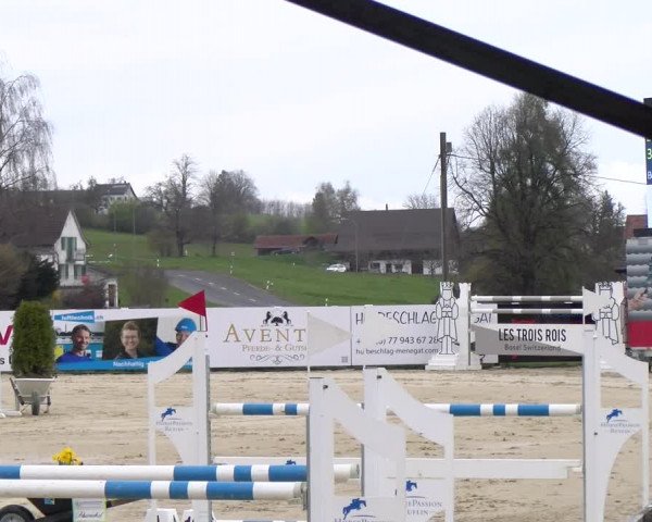 Reitturnier Wädenswil 2023