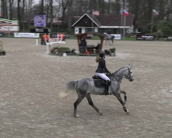 Reitturnier Klein Roscharden 2023
