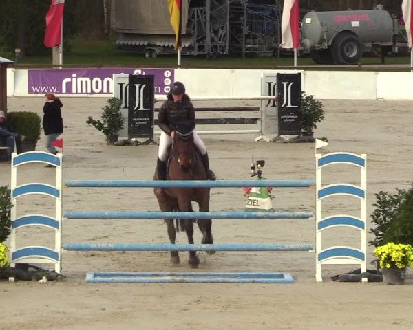 Reitturnier Westergellersen 2023