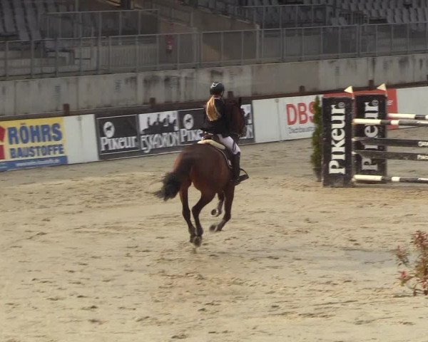 Reitturnier Westergellersen 2023