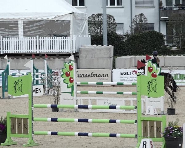Reitturnier Amriswil 2023