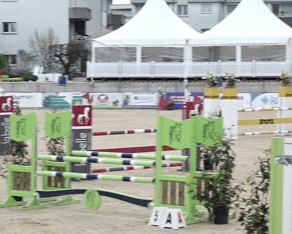 Reitturnier Amriswil 2023