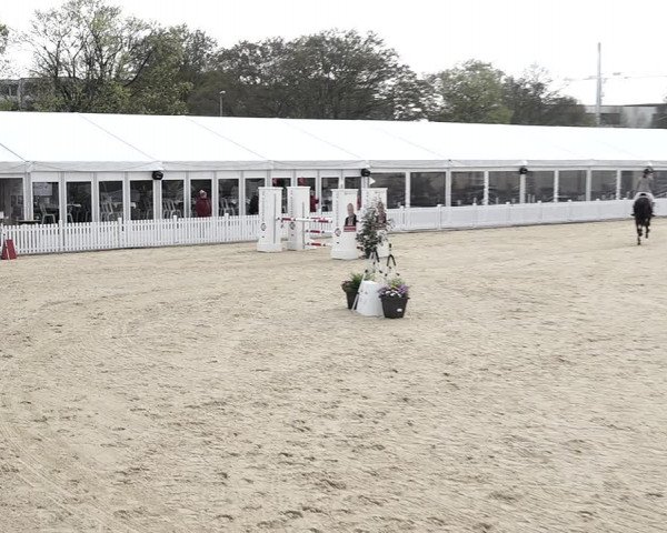 Reitturnier Amriswil 2023
