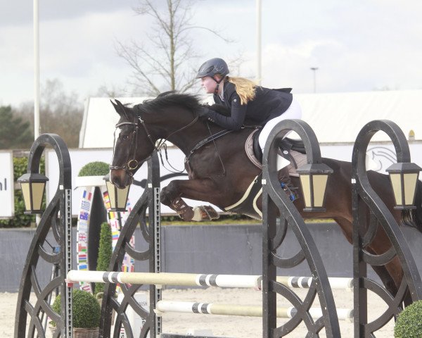 jumper Nova Libby (KWPN (Royal Dutch Sporthorse), 2018, from Chapeau TN)