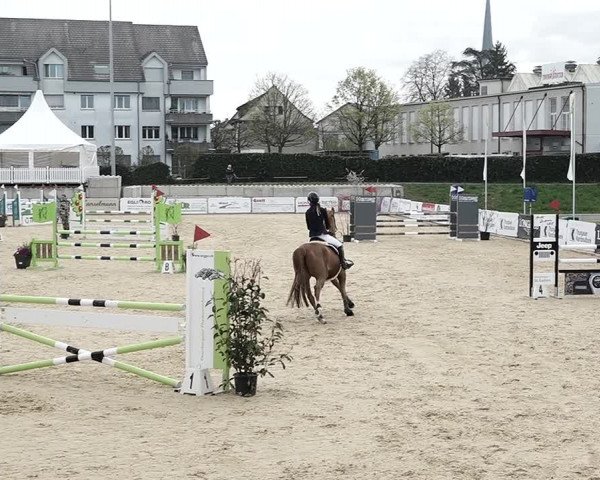 Reitturnier Amriswil 2023