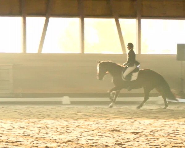 Reitturnier Urtenen-Schönbühl 2021
