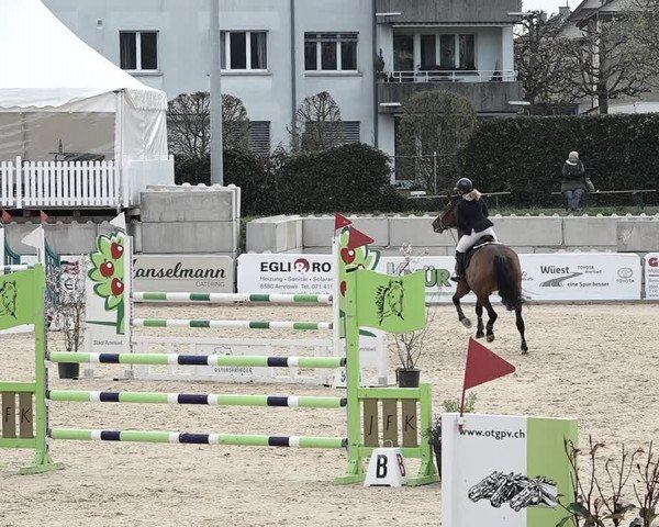 Reitturnier Amriswil 2023