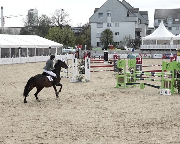 Reitturnier Amriswil 2023