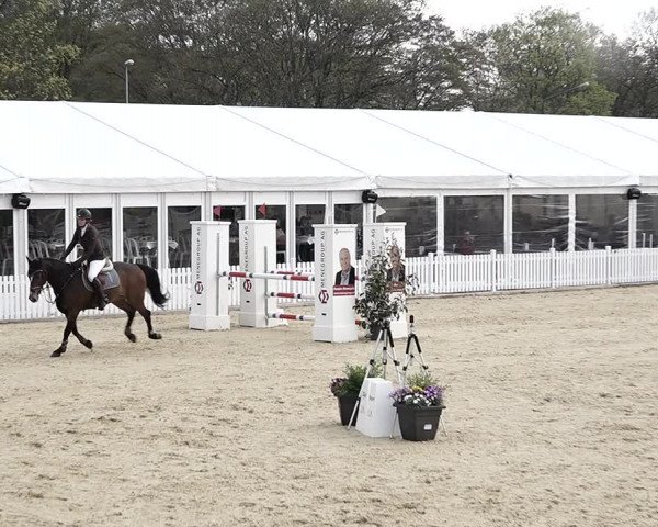 Reitturnier Amriswil 2023